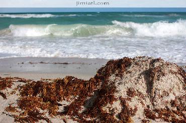 Beach Sand and Ocean Waves