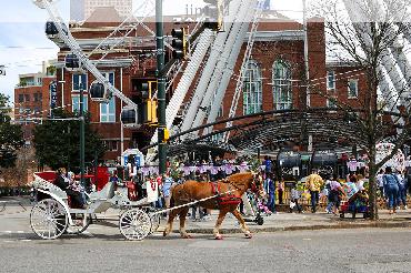 Horse Carriage Ride Atlanta