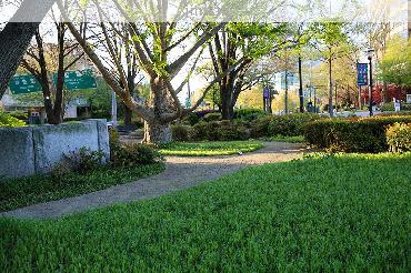 Midtown Atlanta Mini Park