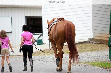 Horse Retreats