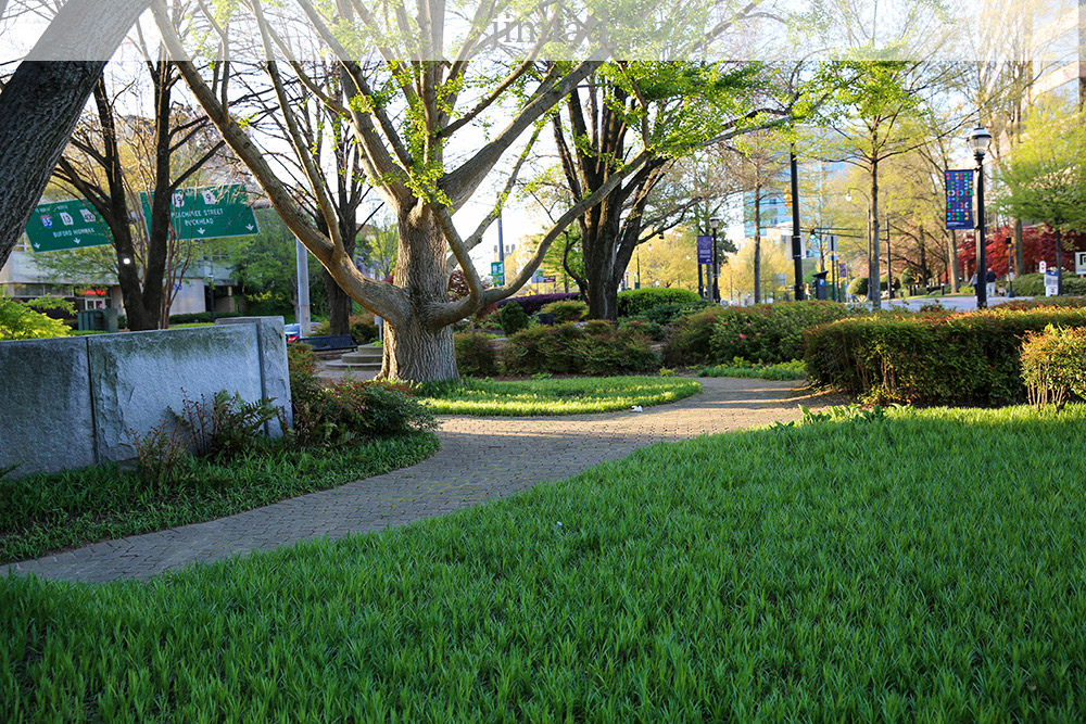 Midtown Atlanta Mini Park