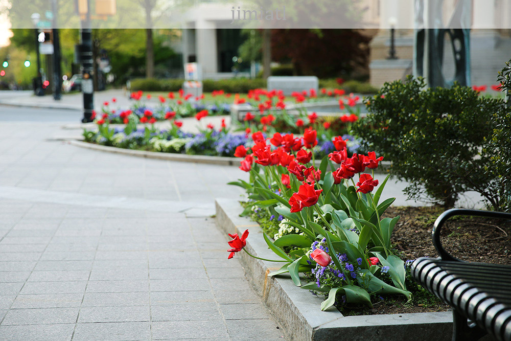 Midtown Atlanta Sidewalk