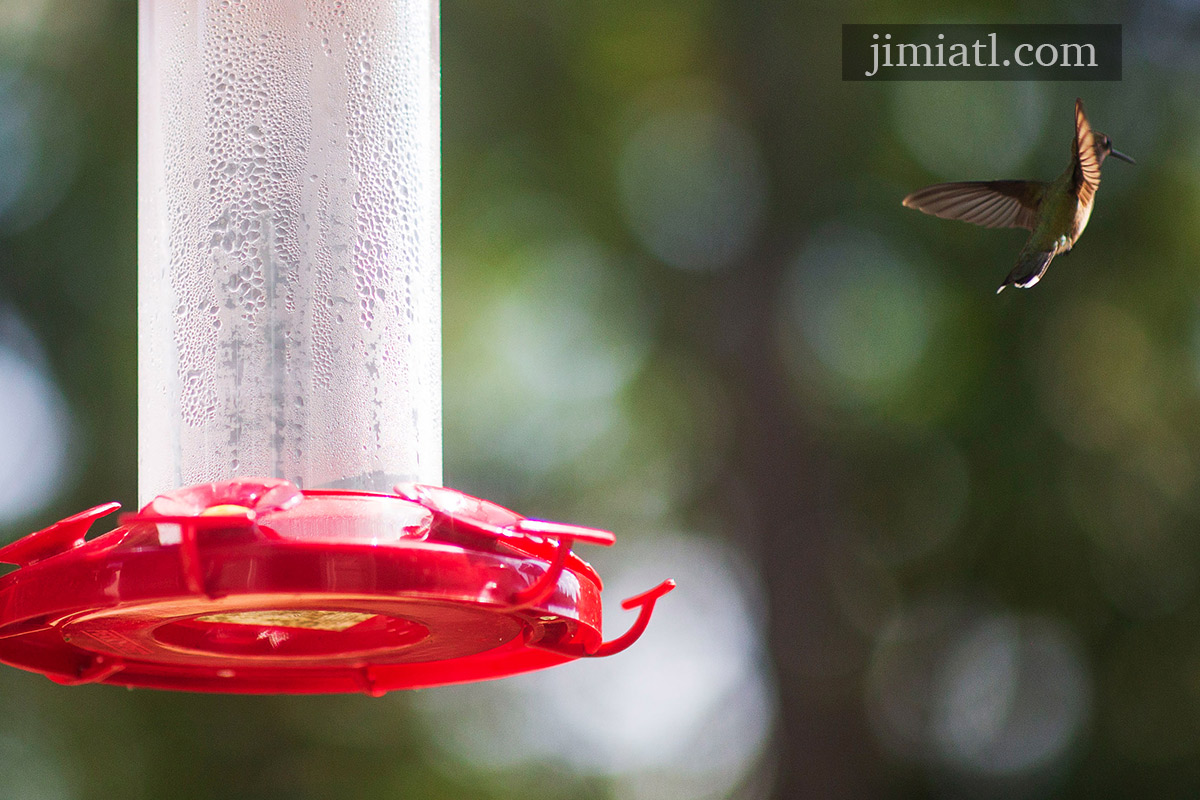 Hummingbird Retreats