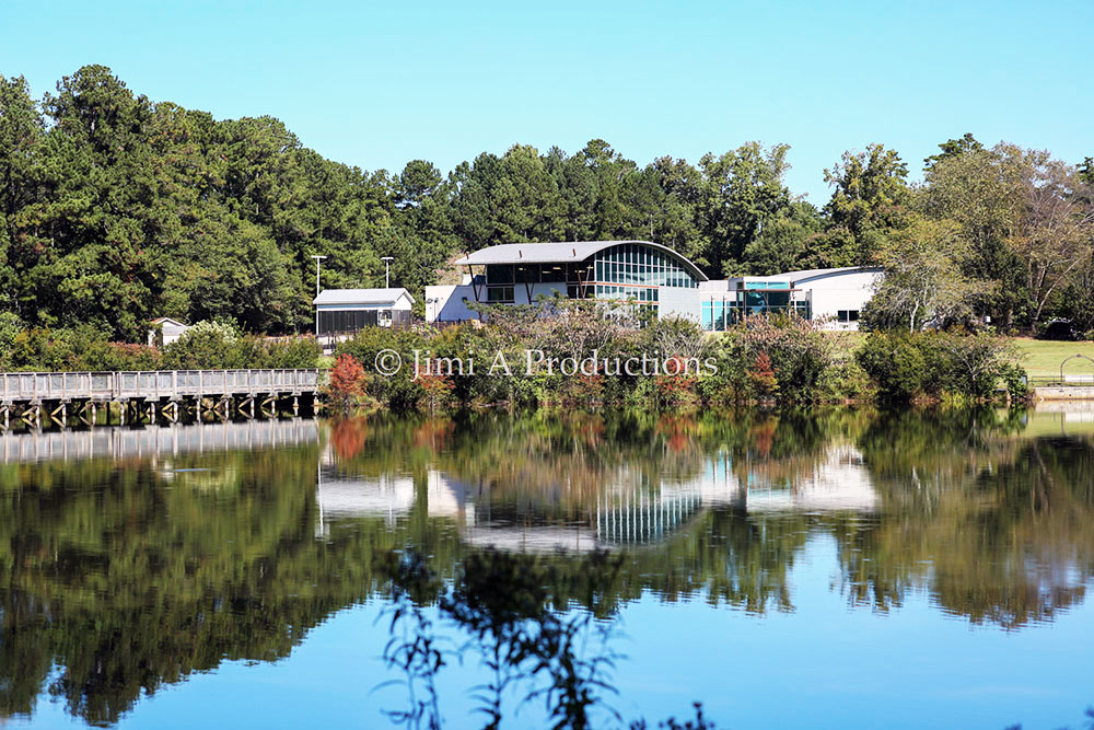 Reflective View of Park