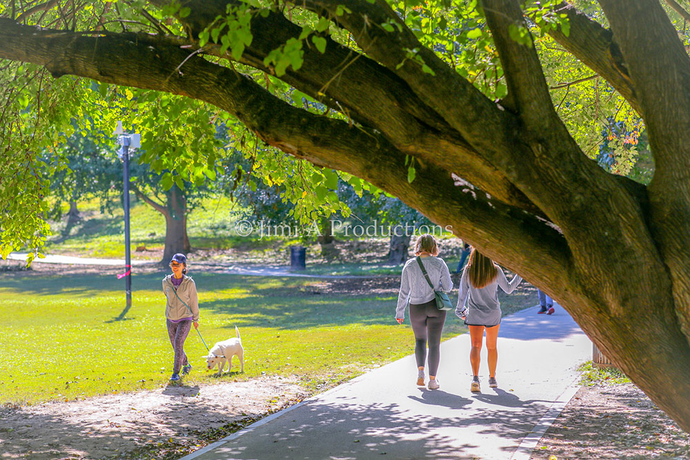 Stroll at Piedmont Park