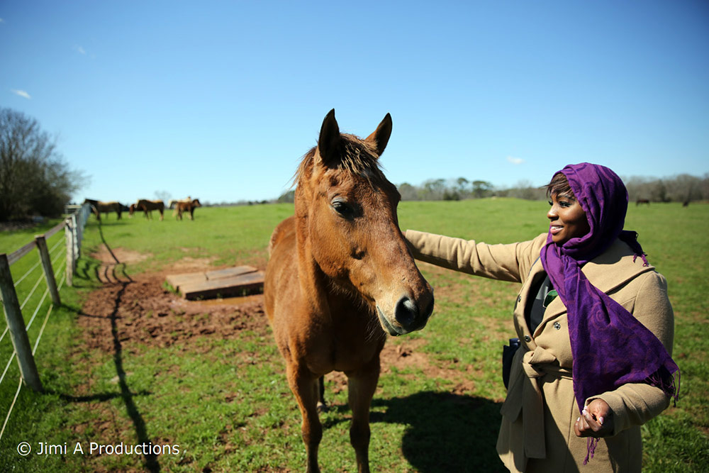 Woman Pets Horse