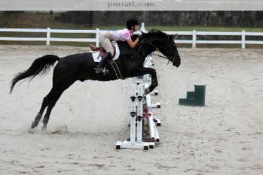 Equestrian goes through course with strong black horse as they jump over an obstacle.