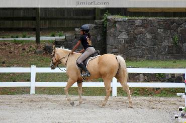 Young girl trains on beautiful horse.